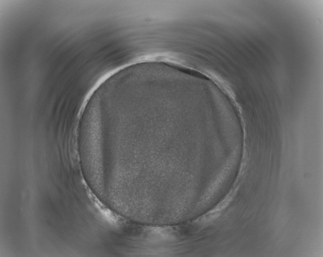 X0000078020816200611101845