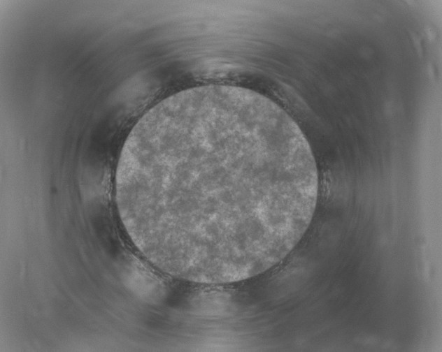 X0000078020820200611101844