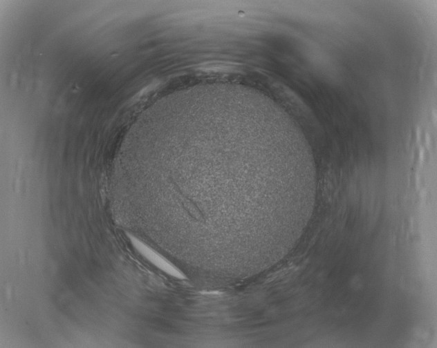 X0000078020821200611101844