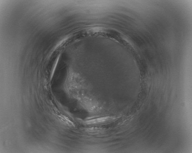 X0000078020823200611101844