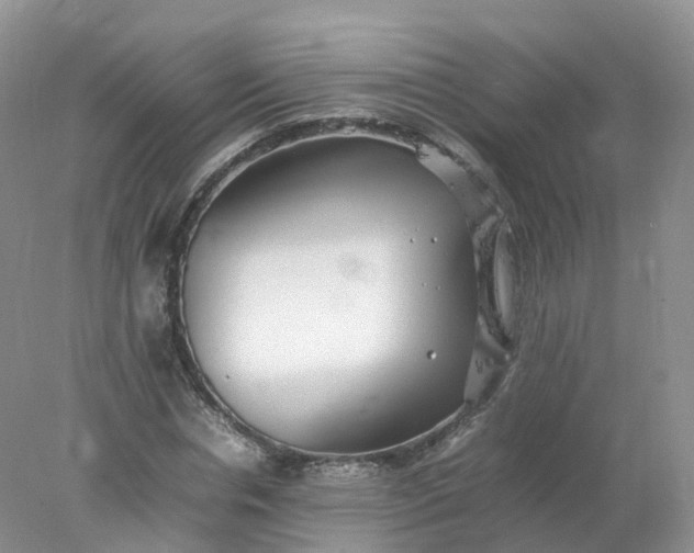 X0000078020826200611101844