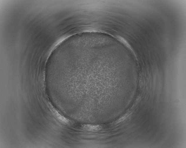 X0000078020831200611101844