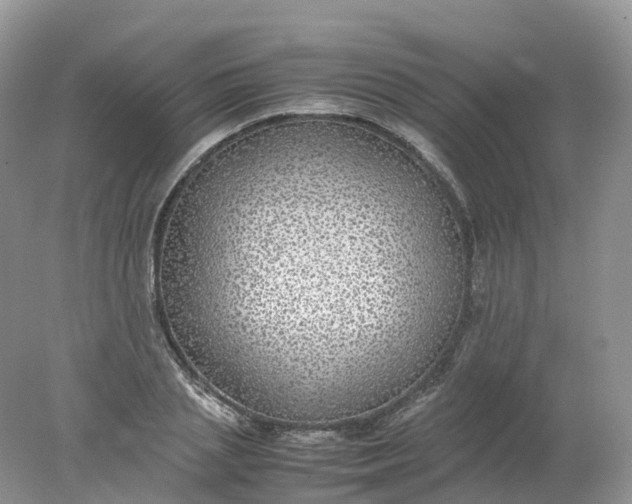 X0000078020837200611101845