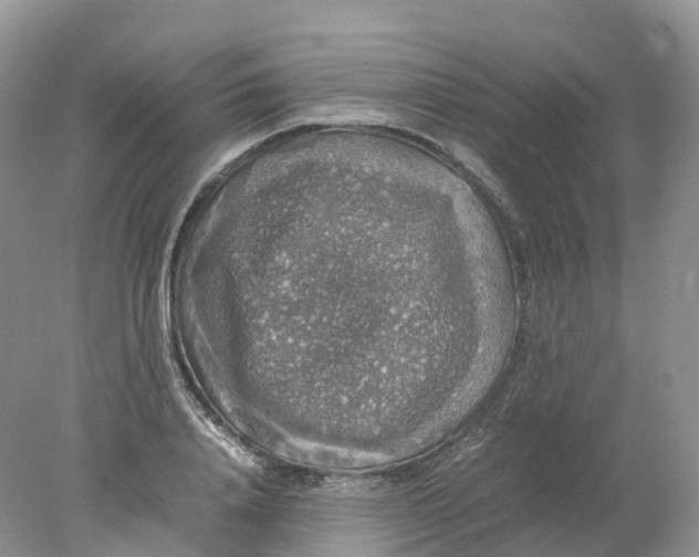 X0000078020840200611101845