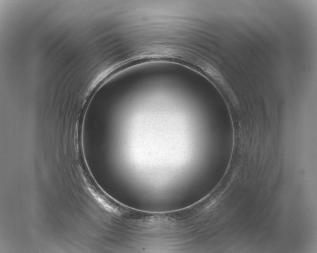 X0000078020842200611101845