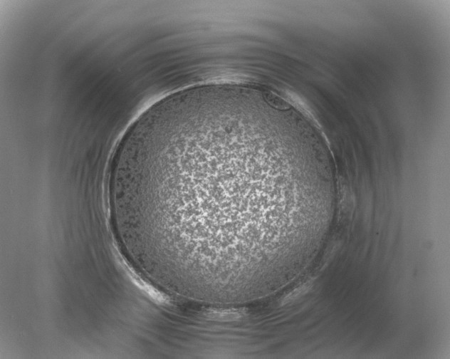 X0000078020843200611101845