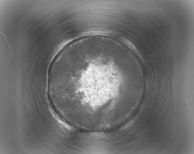 X0000078020844200611101845