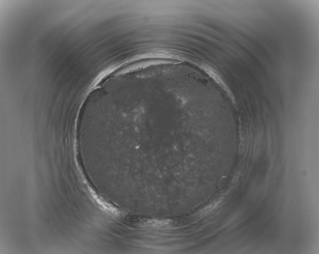 X0000078020845200611101845