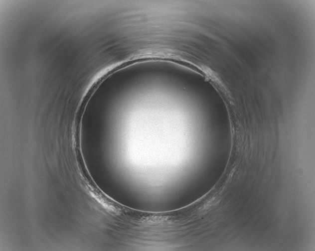 X0000078020846200611101845