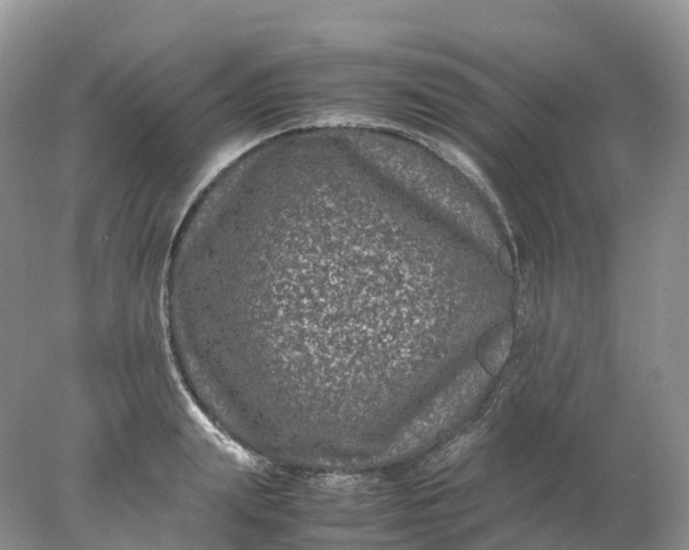 X0000078020847200611101845