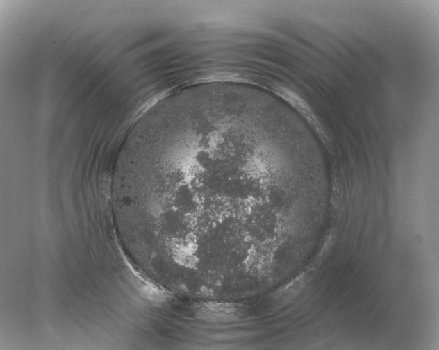 X0000078020849200611101845