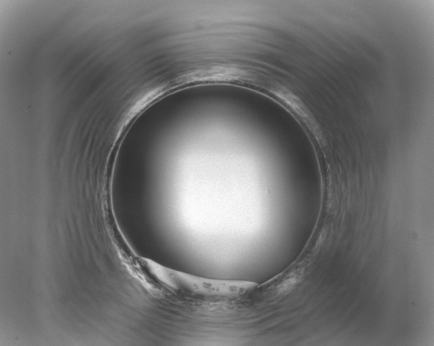 X0000078020850200611101845