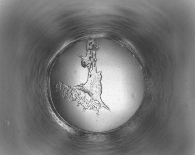 X0000078020851200611101845