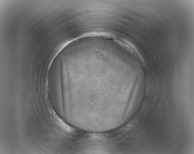 X0000078020852200611101845