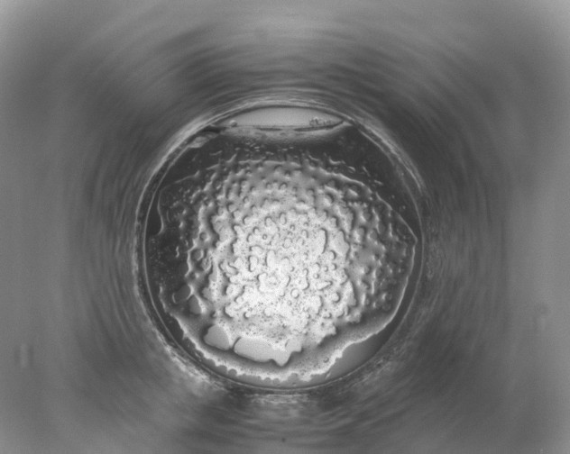 X0000078020853200611101845