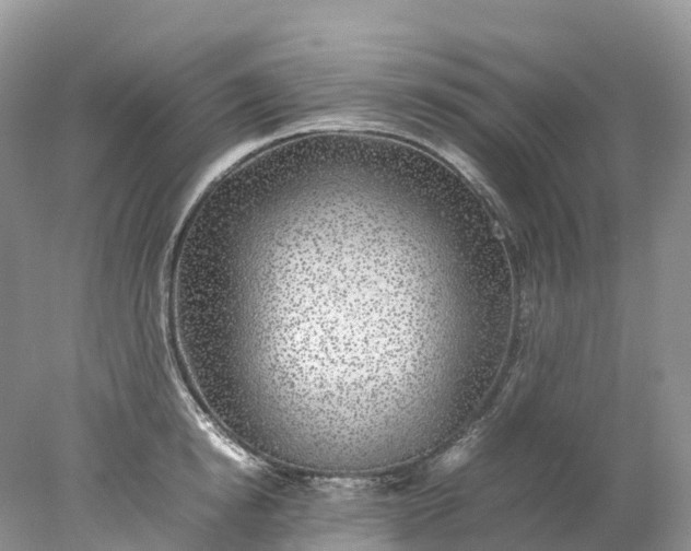 X0000078020854200611101845