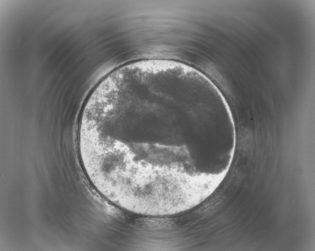 X0000078020856200611101845