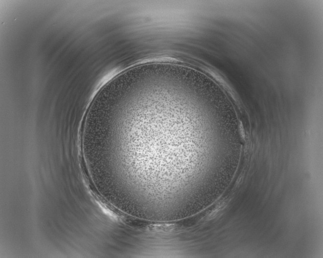 X0000078020858200611101845