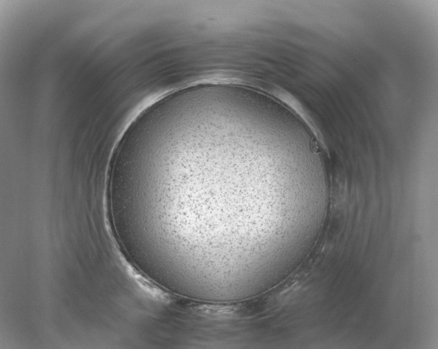 X0000078020861200611101845