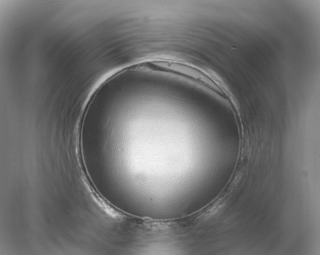 X0000078020862200611101845