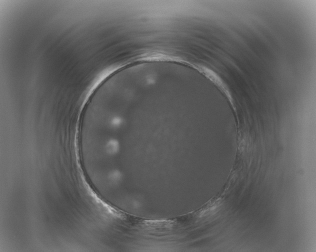 X0000078020863200611101845