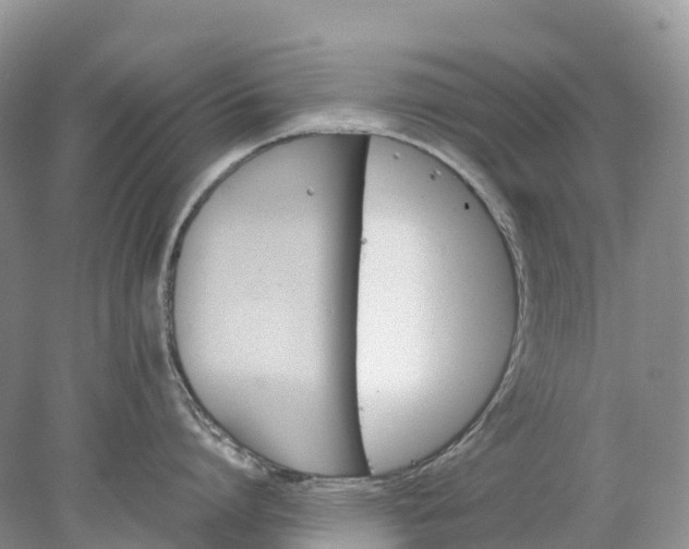 X0000078020864200611101845