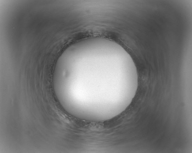 X0000078020865200611101844