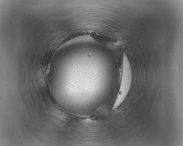 X0000078020868200611101844