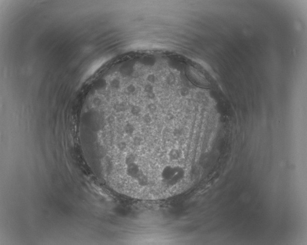 X0000078020871200611101844