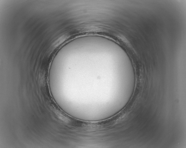 X0000078020873200611101844