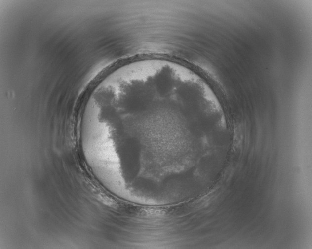 X0000078020878200611101844