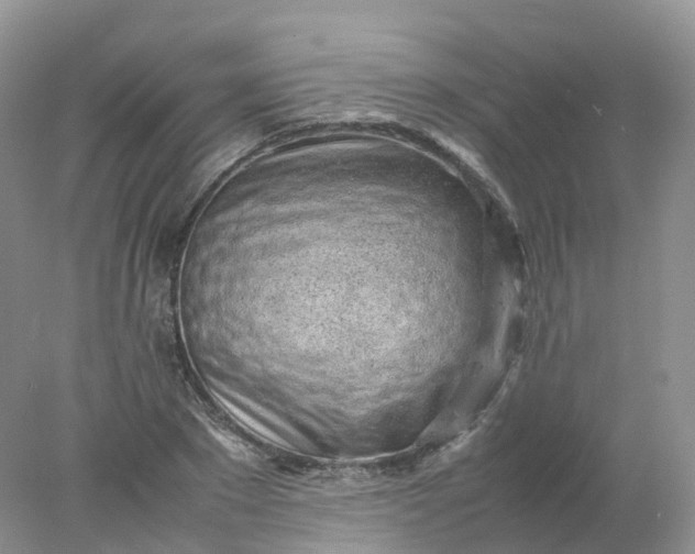 X0000078020881200611101844