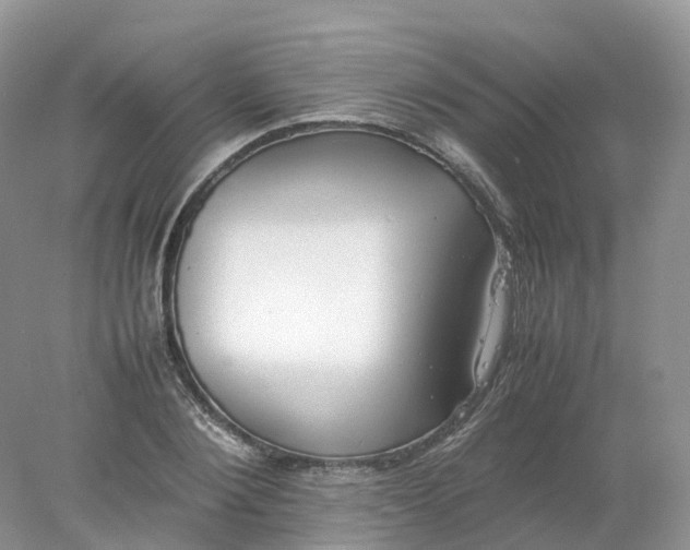 X0000078020884200611101844