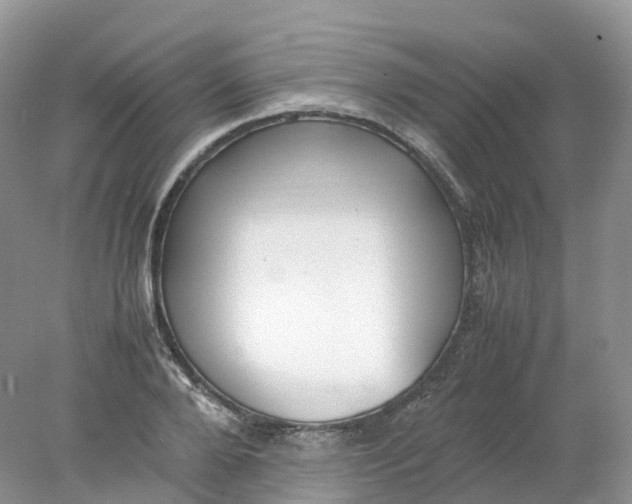 X0000078020888200611101844