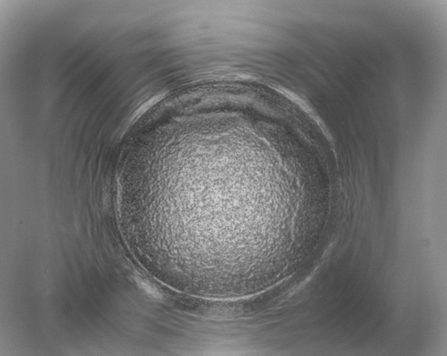 X0000078020889200611101844