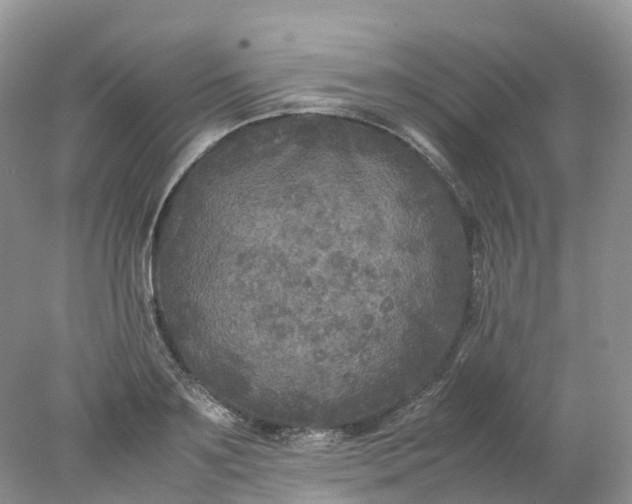 X0000078020891200611101844