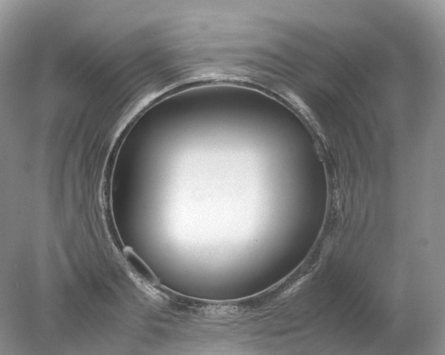 X0000078020893200611101844