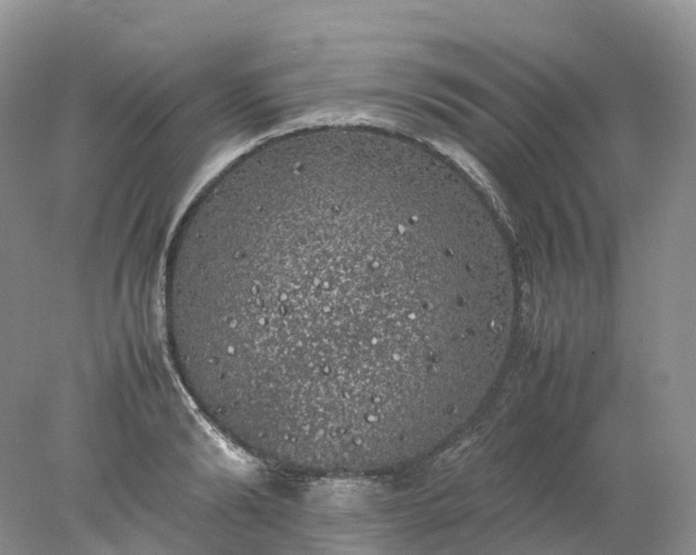 X0000078020894200611101844