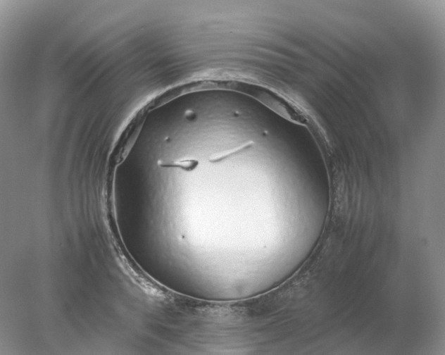 X0000078020896200611101844