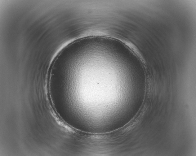 X0000078020904200611101843