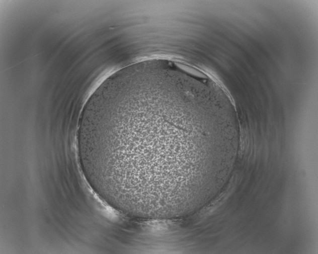 X0000078020906200611101843