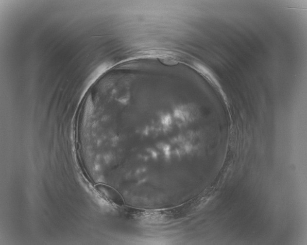 X0000078020907200611101843