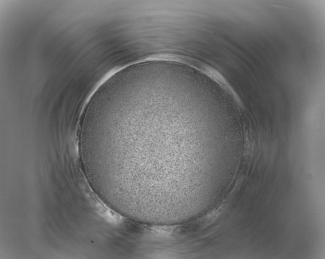 X0000078020908200611101843