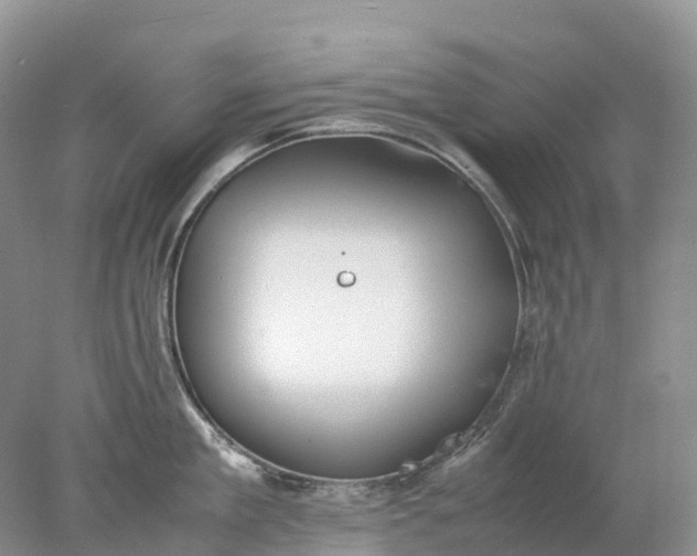 X0000078020909200611101843