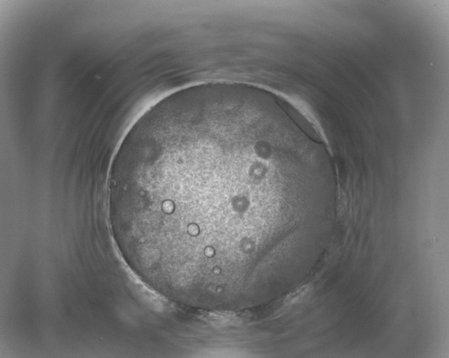 X0000078020911200611101843