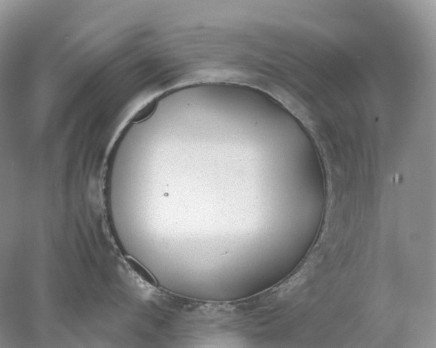 X0000078020912200611101843