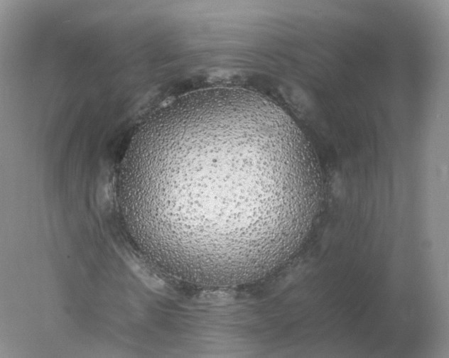 X0000078020914200611101843