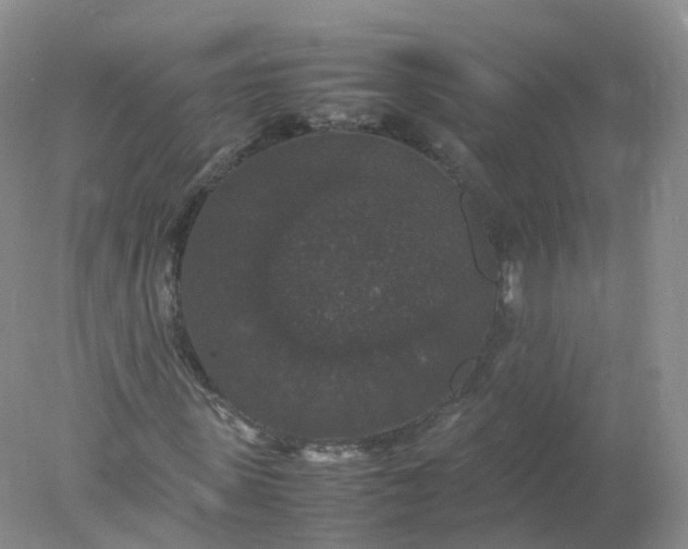 X0000078020915200611101843