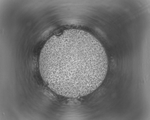 X0000078020918200611101843