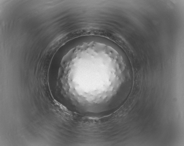 X0000078020919200611101843